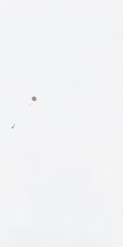 2013 Suche 29062013 Michal